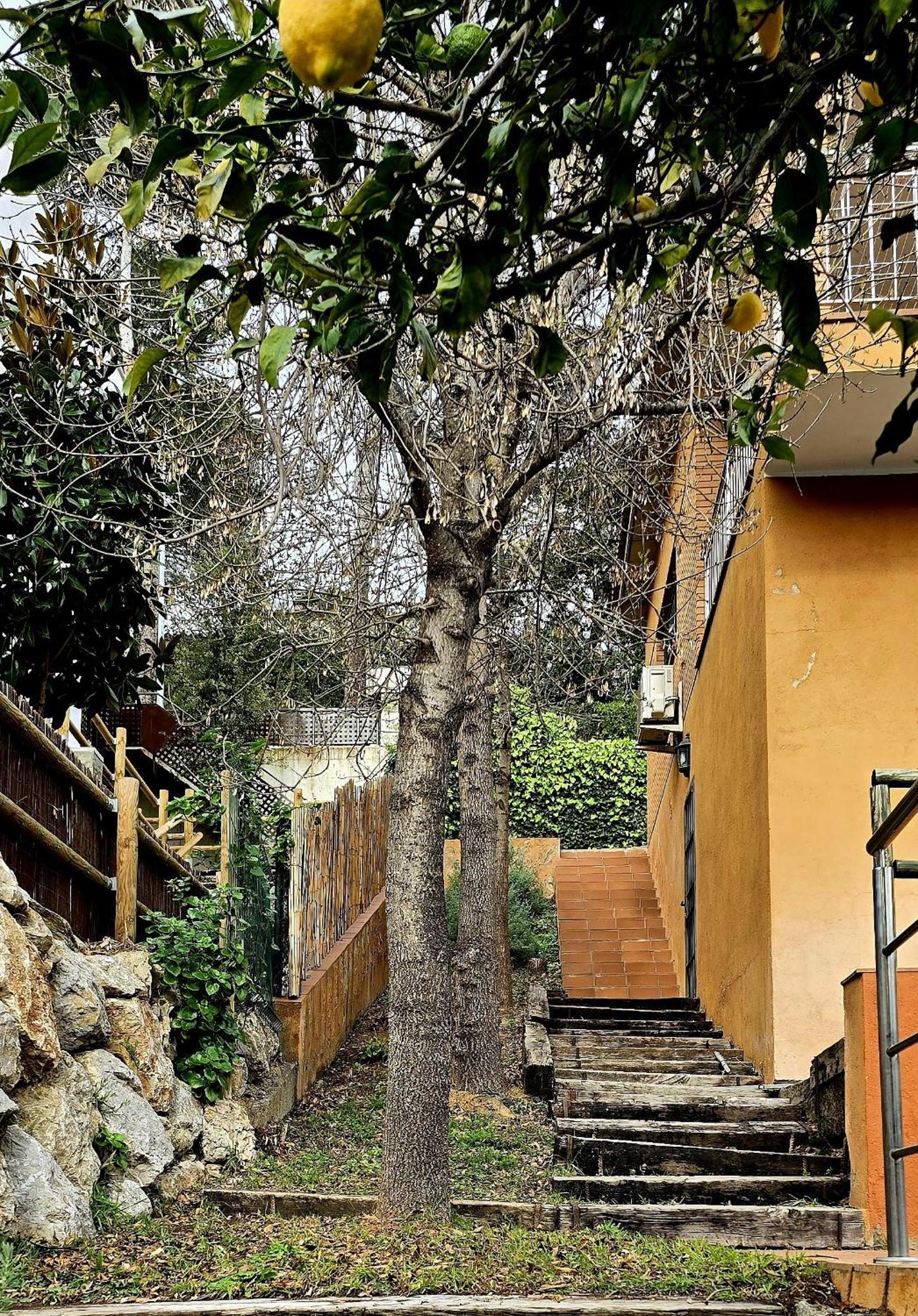 Cal Nene - Plamun Es Villa Begur Exterior foto